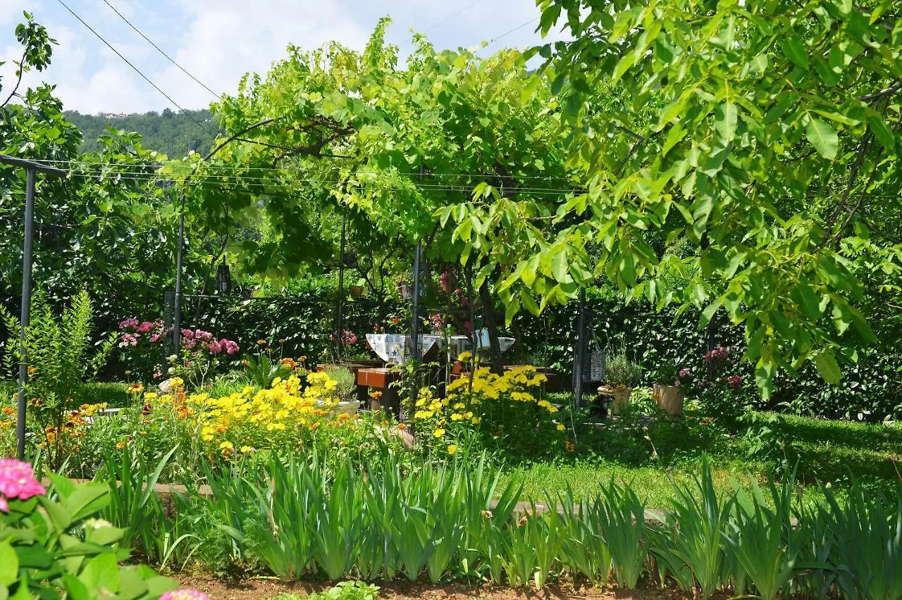 Apartment Gogo Opatija
